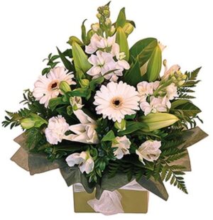 Classic Boxed Arrangement