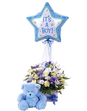 A Baby Boy Gift