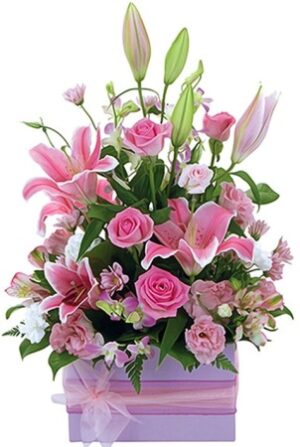 Pink Boxed Arrangement