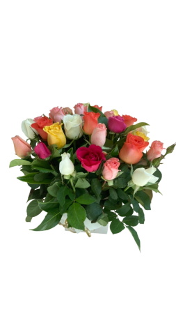 Multicoloured Mix Of Roses in a Square Box